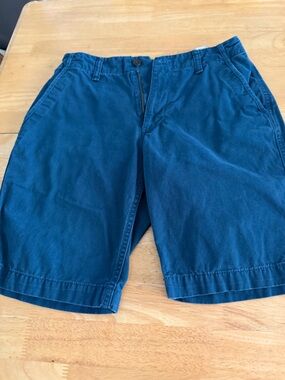 Old Navy Men's Flat Front Shorts - Deep Navy